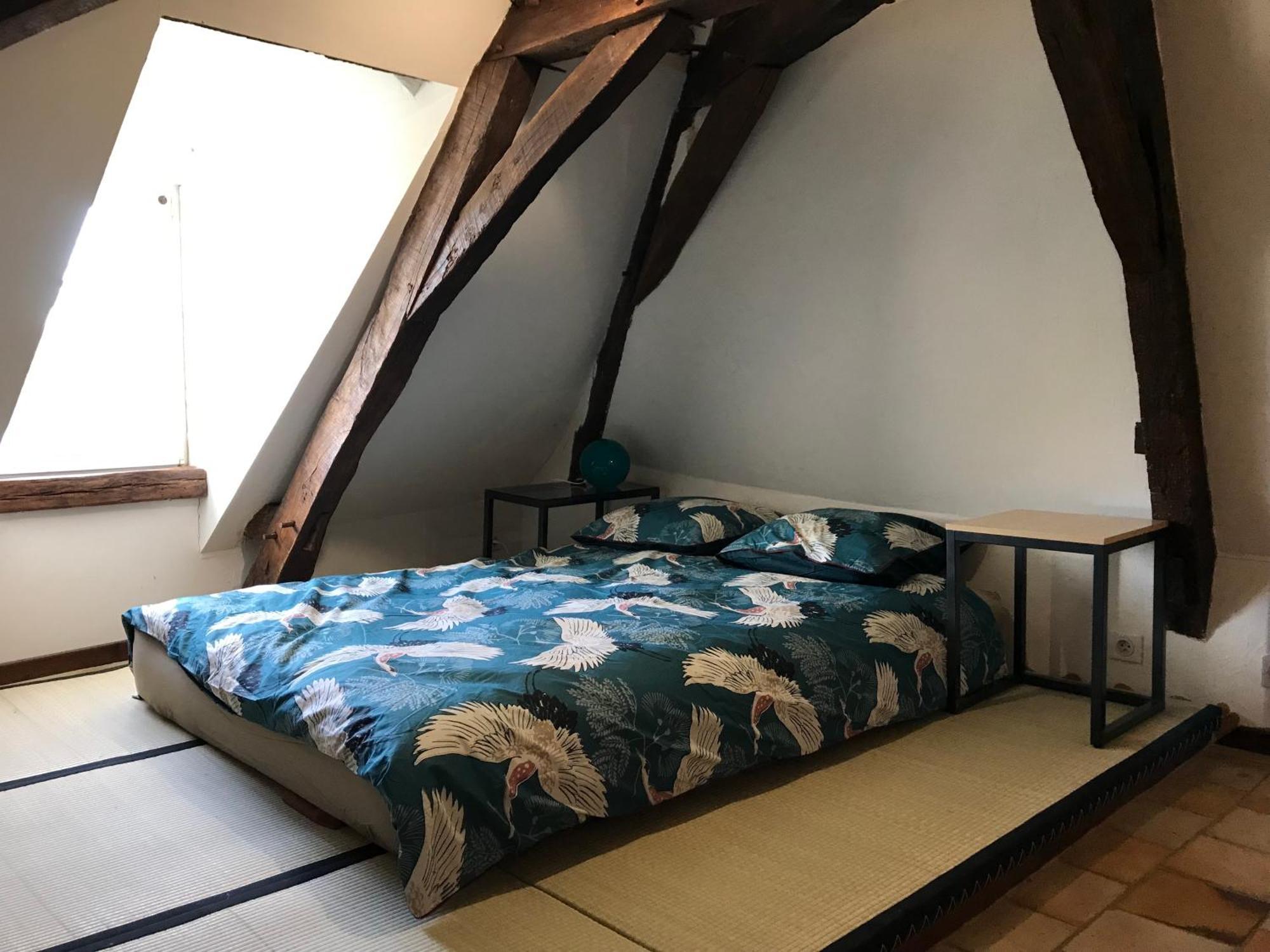 Jacuzzi Et Vue Sur Loire - Maison D'Hotes L'Odyssee La Chapelle-sur-Loire エクステリア 写真